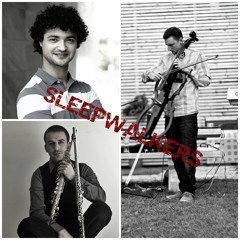SLEEPWALKERS Trio