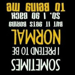 davidsnow11