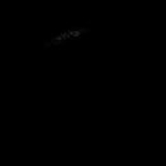 Marlon Oneway Pendelton