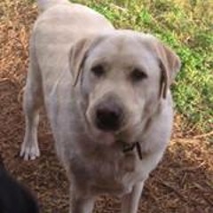 Ellisha Bieber Radley