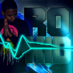 ROKID-2