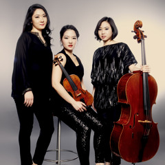 Mendelssohn Piano Trio No.1 in d, Op.49 - II