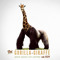 GiraffesNGorillas