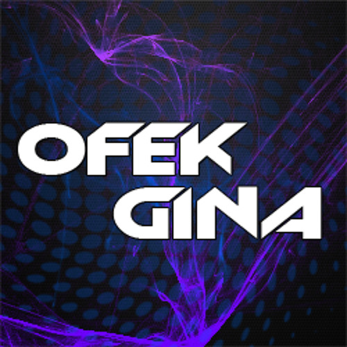 OfekGina’s avatar