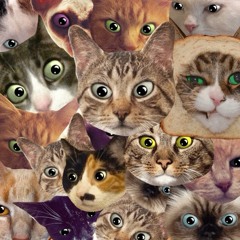MFLPBLT