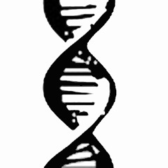 DanceNationAssociation