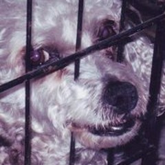 Elizabeth Kirberger 1