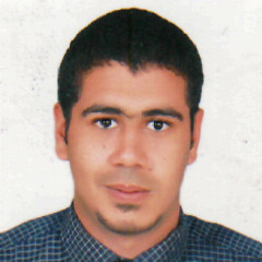 mohammed hamed 14