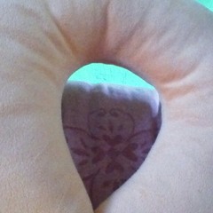poppy12hpp
