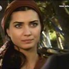 شعبى