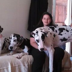 Sabrina Levesque Demore