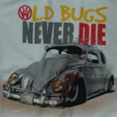 Çapulcu Hatipoğulları