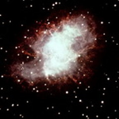 William Crittenden 1