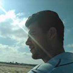 Elhawary Mohamed