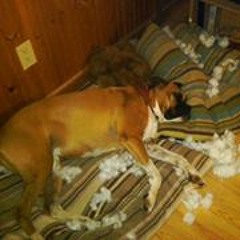 Shannon Edwards Sterling