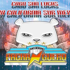 Alonso Osito Pachanguero