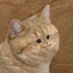 -null