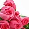 rosy_road
