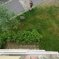 Emely Hansson Svinkrok