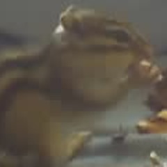 uri_chiller