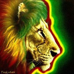 Lion Gunshot