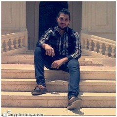 Eslam Rashwan *