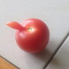 Jan V Pflanzenmetzger