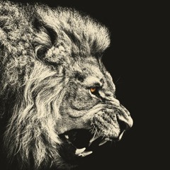 John Andrew Williams