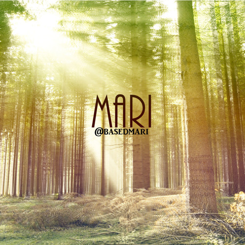 SoundCloud profile picture for @rapidly