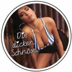 Die dicken Schnoesel
