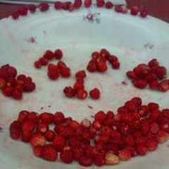 Jaunius Jokūbas Kadūnas