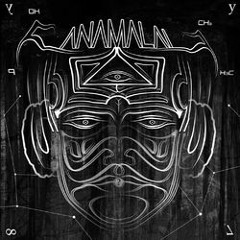 Anamalai - System Busteres