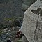 Julio_Martínez