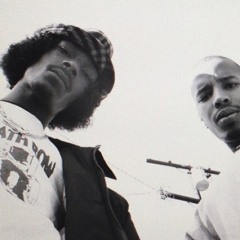- Niggaz Nature