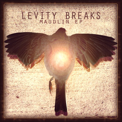 LevityBreaks