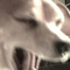 courageous shakespeare