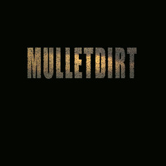 MULLETDIRT