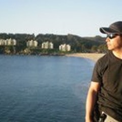 Francisco Andres Liempi