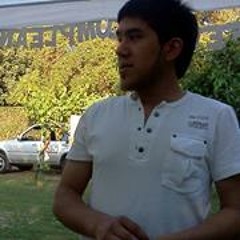 Carlos Rodriguez 504