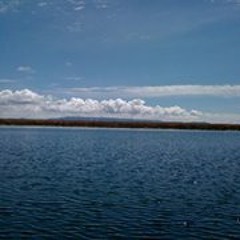 Juan Carlos Olivares 3