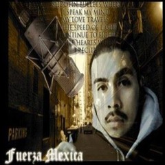 Fuerzamexica
