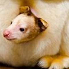 Taryn Nichole Carpenter