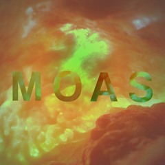 The Moas