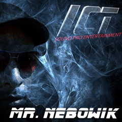 Mr. Nebowik