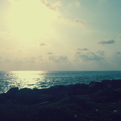 Rusith.W