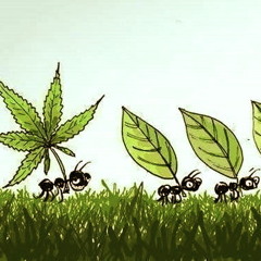 Jungle / Ragga dnb