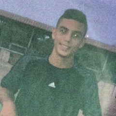 user530515349