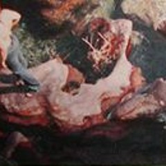 Mary Kirchoff-Trombley