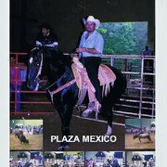 Jaripeo Chava Cornejo