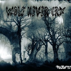 Wolf Never Cry